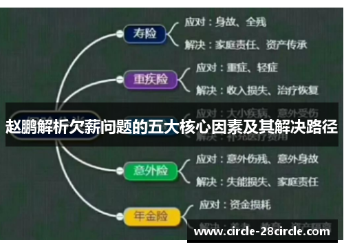 赵鹏解析欠薪问题的五大核心因素及其解决路径