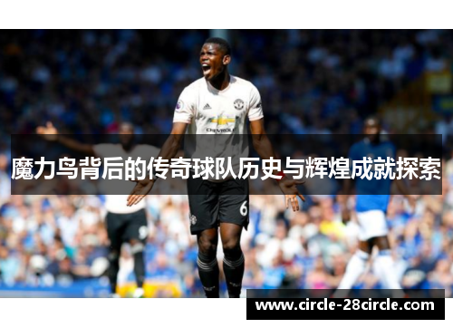 魔力鸟背后的传奇球队历史与辉煌成就探索